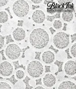 Lace Rings–White