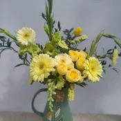Daisy, Daisy
