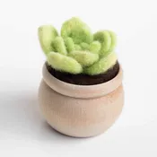 Felted Sky - Lily Pad Succulent Mini Needle Felting Kit