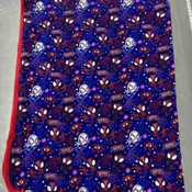 Spidey Blanket