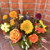 Bright and Bold {Designer's Choice}