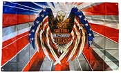 American Eagle Harley Davidson Flag