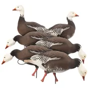 Blue Goose | Combo 6-Pack