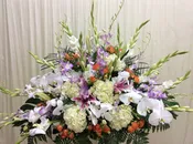 B1 — All Season Florist & Gifts 四季花舖