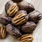 Cape Fear Pecan