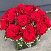 Premium Dozen Red Rose Contempo
