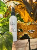 Le Tout Le Baratin (All That Jazz) Room Mist — New Orleans Florist Arbor House floral.event.creative