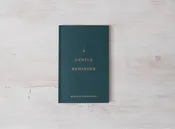A Gentle Reminder - book
