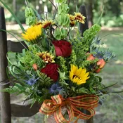 Autumn Splendor