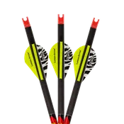 Lumen Arrow Capture Crossbow Bolts