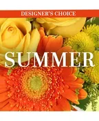 SUMMER SPECIAL