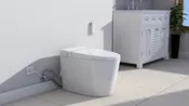 A17 Elongated Toilet with Bidet