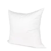 22 x 22 Down pillow insert
