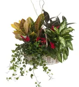 Traditional Cardinal Planter Basket