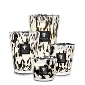 Baobab Black Pearls Candle - Black Rose and Ginger