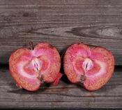 Niedzwetzkyana Apple
