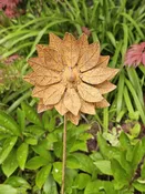 Aurelia Flower Small Stake F060 (NEW)