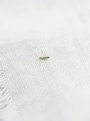 14K Bar Studs