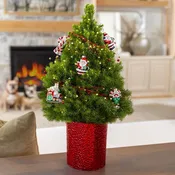 Celebrations by Radko&reg; 2026 Living Tabletop Christmas Tree