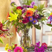 Bold & Bright- Designer's Choice