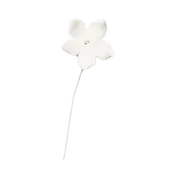 1-1/8" Pointy Stephanotis - Medium - White