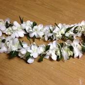 Leis #4