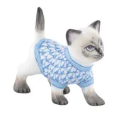 Sweater Kitty