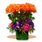 Rose Garden Floral