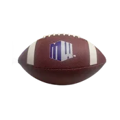 2025 Mountain West Championship Baden Composite Leather Football
