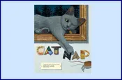 Cat Nap by Brian Lies — WHERE THE SIDEWALK ENDS  Bookstore & Children's Annex