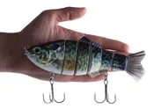 8" Spring Shad Swimbait