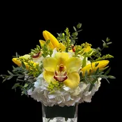 Bloom0227