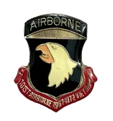 Vintage 101st Airborne Vietnam Division Pin