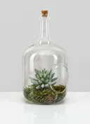 10.75in Tall Rio Bottle Glass Terrarium, Large