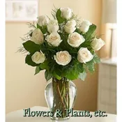 Classic White Roses