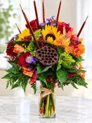 FALL WONDER
