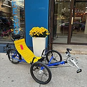 Greenspeed GT3 Series II Folding Trike PRE-OWNED — Cosmic Bikes