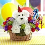 Birthday Puppy in a Basket