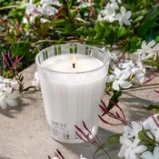 Nest Cedar Leaf & Lavender Candle