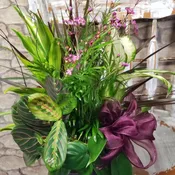 Live Garden Planter