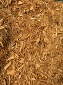 Goldenrod Mulch