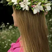Landi's Lei Po'o