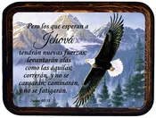 Cuadro  Isaias 40:31 Pero los que esperan.