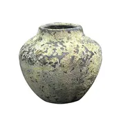 Anchovy Pot