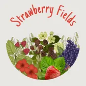 Strawberry Fields | The Charis Collective