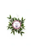 Bay Laurel