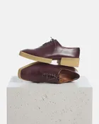 Beech Oxford