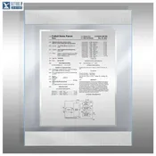 AirLucite® Dual Band Ice Patent Plaque DB-AI-EZ14