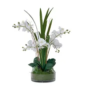 29.5" White Orchid Arrangement in a Glass Vase| Real Touch White Moth Phalaenopsis Orchids by Fiori Sempre