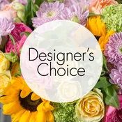 Best of the Season Designer's Choice